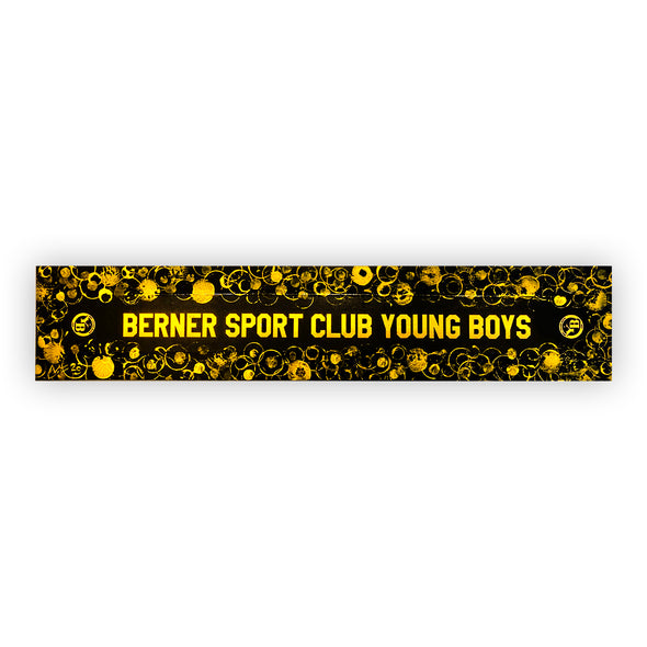 Berner Sport Club Young Boys Schal Gemälde