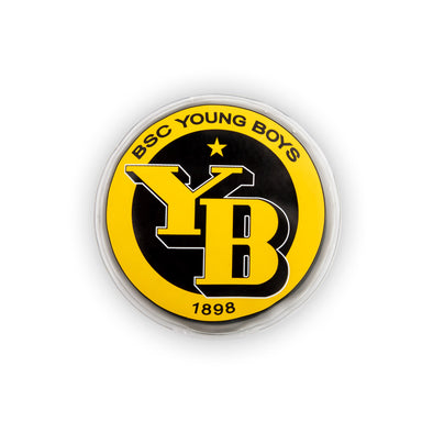 Borussia Dortmund 09 Aufkleber Auto Signet Alt Verein